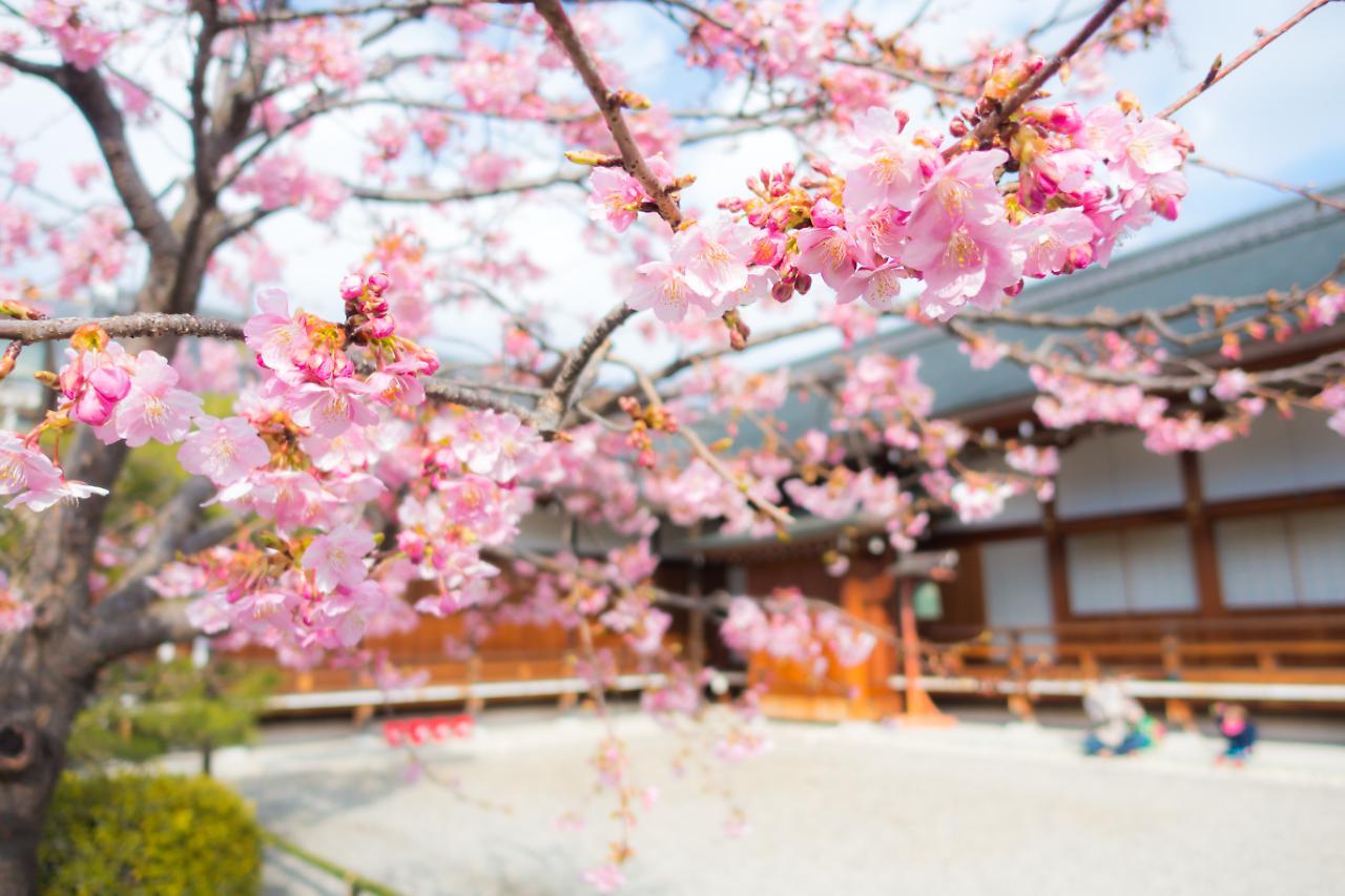 Stay Sakura Kyoto Shijo Karasuma Quioto Exterior foto