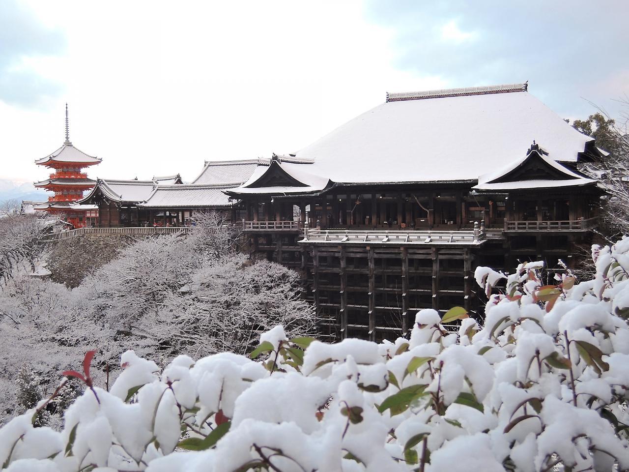 Stay Sakura Kyoto Shijo Karasuma Quioto Exterior foto