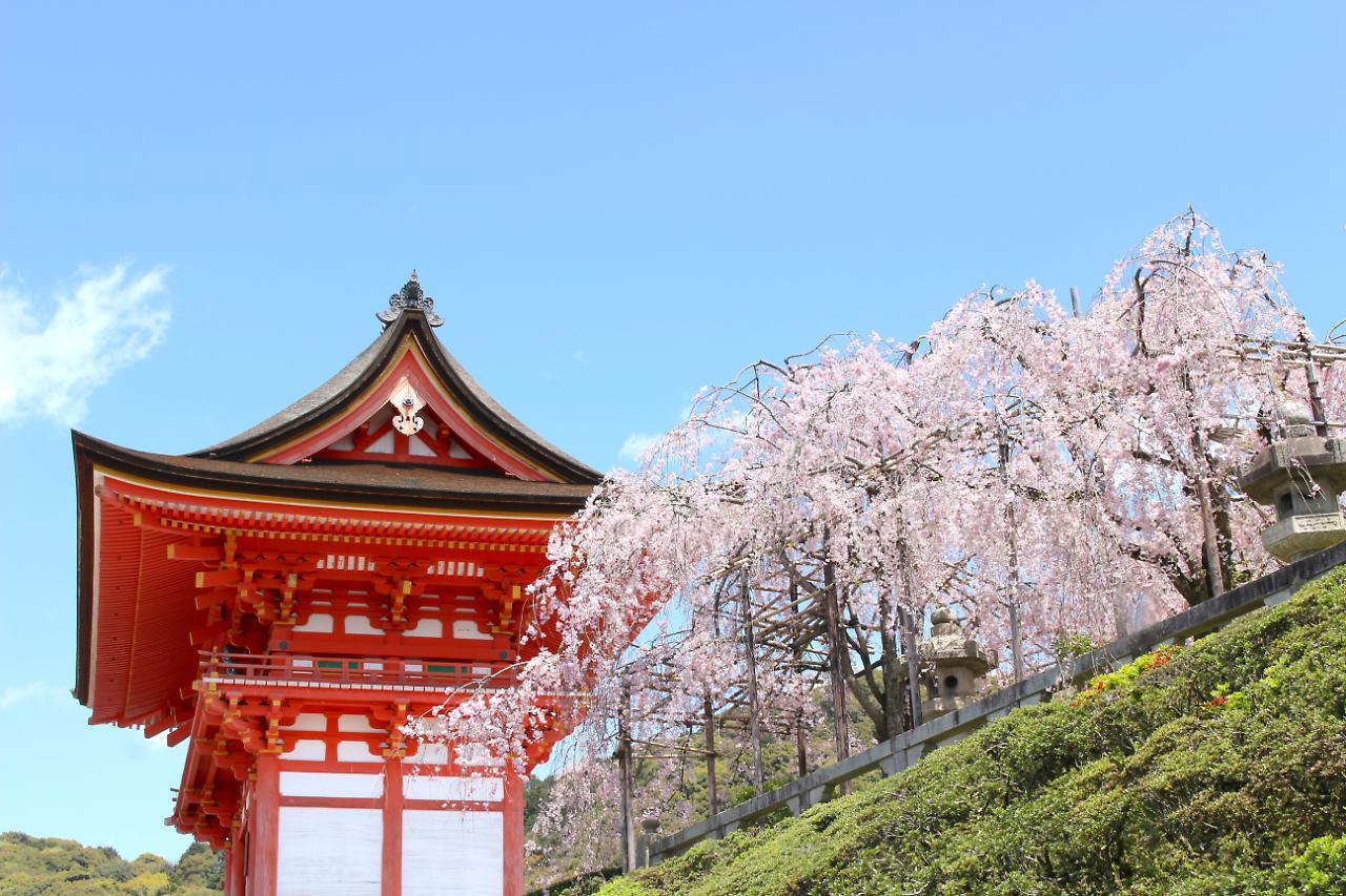 Stay Sakura Kyoto Shijo Karasuma Quioto Exterior foto