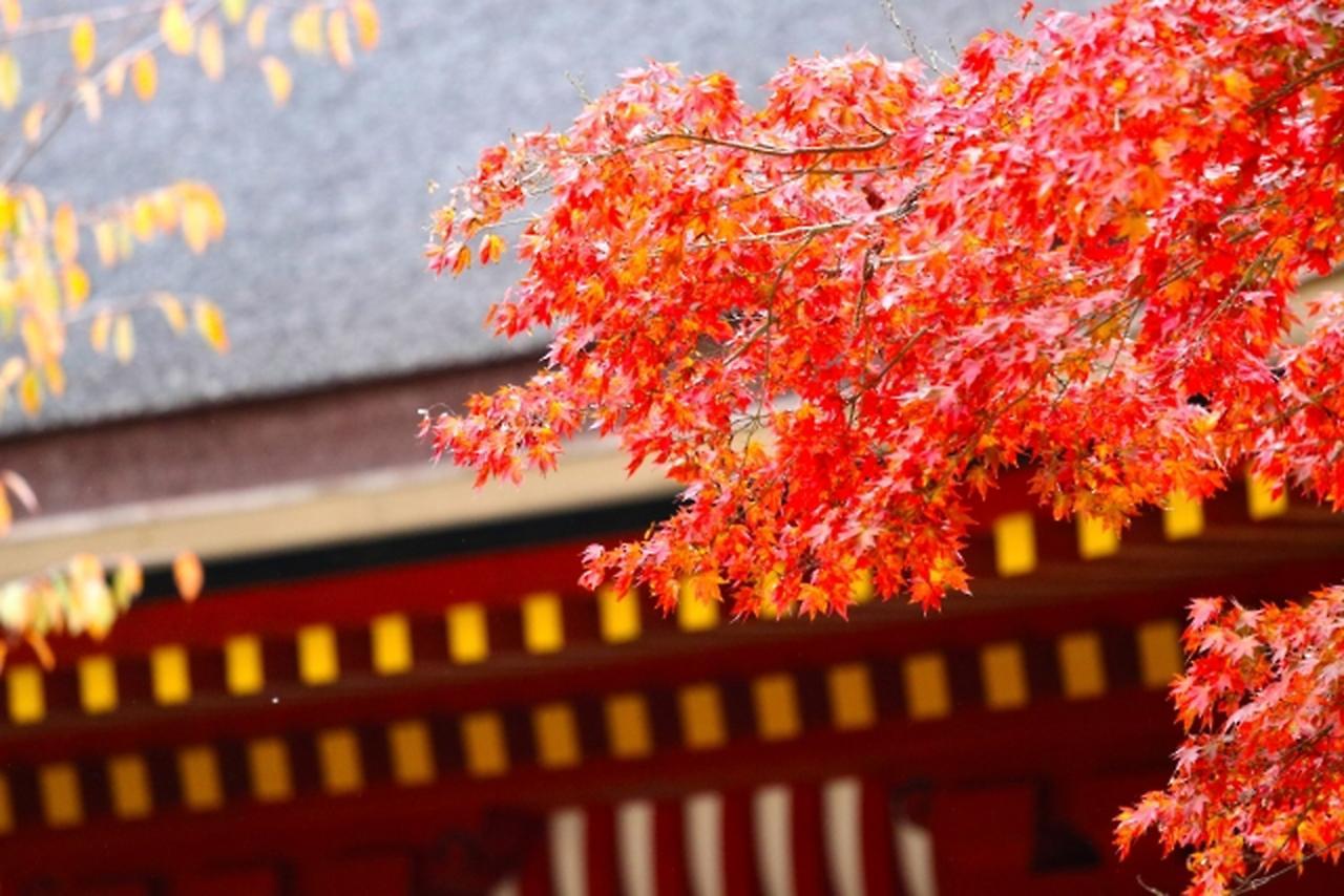 Stay Sakura Kyoto Shijo Karasuma Quioto Exterior foto